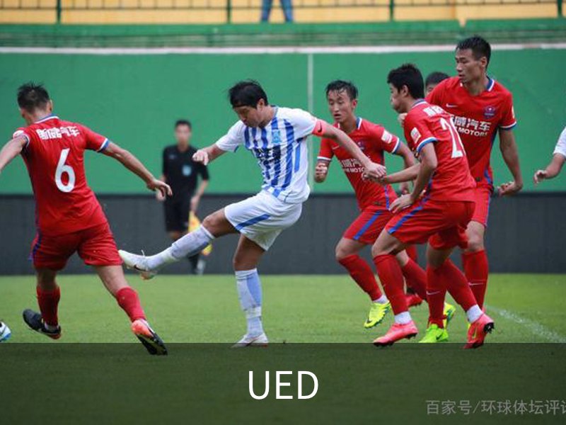 UED概况